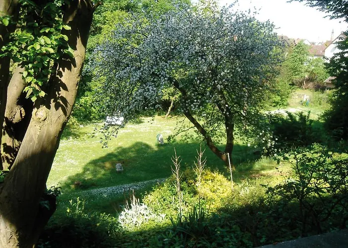 Bredl In Der Ballestrem Straubing